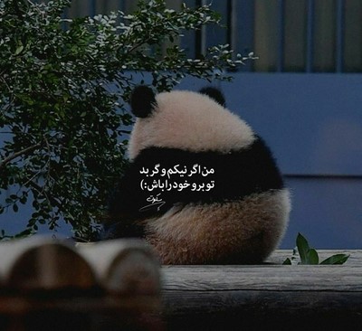 ویناک مافیا شدیم دادا بازدیدا همه بالا